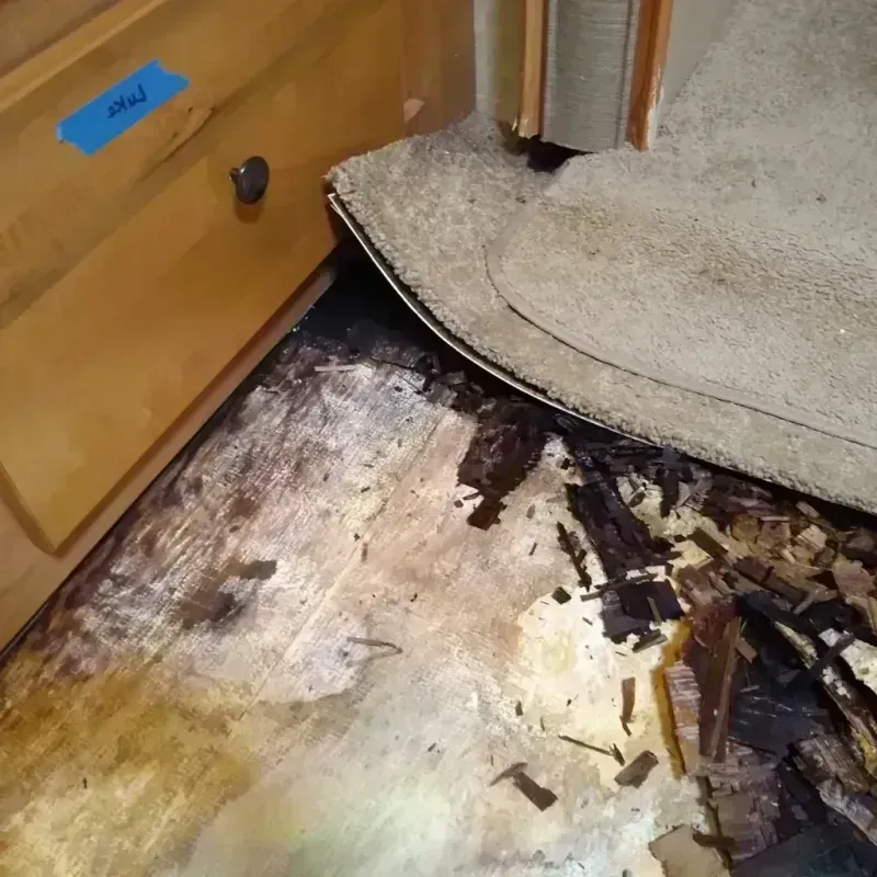 Best Wood Floor Water Damage Service in West Point, MS